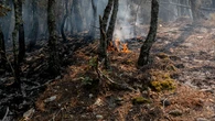 Sin estrategia contra el fuego otro verano más