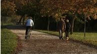 ¿Caminar o ir en bicicleta? la ciencia aclara cuál es más beneficioso para tu cuerpo