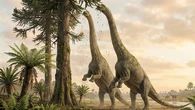 Francia devuelve a Marruecos siete dientes de dinosaurio que habían sido robados