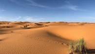 La NASA descubre un “milagro verde” en pleno desierto