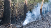 El incendio de Padrón, en La Coruña, ya ha calcinado 350 hectáreas