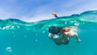 Las mejores calas en España para hacer snorkel este verano