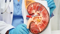 Sanidad activa un 'cribado clave' en mayores de 60 años para detectar la enfermedad renal crónica