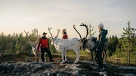 Finlandia lanza la experiencia gastronómica más extrema del mundo: solo 16 personas podrán probarla