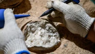 Más de 3000 huevos de dinosaurios podrían tener la respuesta a por qué desaparecieron