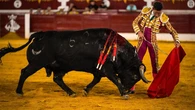 David de Miranda sale a hombros en Torrejón en una tarde de oficio de Perera y Rafael de Julia
