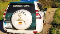 Investigado un hombre por el abandono de 8 crías de perro en una bolsa en un árbol
