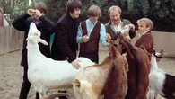 "Pet Sounds": el disco que cambió las reglas del pop