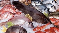 ¿Qué es el "síndrome del olor a pescado" y cómo se soluciona?