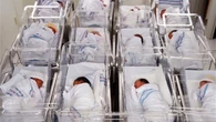 Ingerir poco azúcar antes de nacer y en los primeros años de vida reduce los problemas cardíacos en los adultos