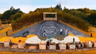 Una granja en el Reino Unido da la bienvenida al otoño con un mosaico de Ozzy Osbourne hecho de calabazas