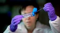 Científicos logran usar bacterias y virus contra el cáncer