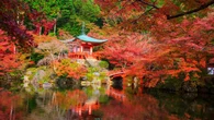 "No las digas en Japón": Las tres palabras españolas que pueden meterte en un lío durante las vacaciones, según un vídeo viral
