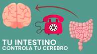 Intestino llamando a cerebro: el poder de una super bacteria contra la depresión, la obesidad o el acoso escolar