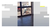Reducen con un tiro en el pie a un hombre que arremetió contra dos guardias civiles