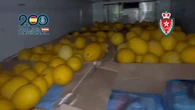 VÍDEO: Interceptan en Algeciras casi 10 toneladas de hachís escondido en fruta