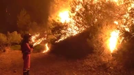 Investigan el origen de los incendios en Cataluña: uno de cada cuatro son intencionados