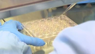 Crean un dispositivo que reproduce un corazón humano para probar fármacos