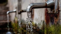Muere una niña de 9 años al ser atacada por sus perros cuando iba a cerrar el agua