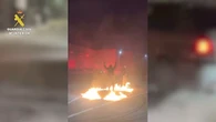 Desarticulan una red de carreras ilegales en Toledo: 17 detenidos y 25 investigados
