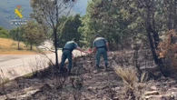 Detenido un hombre e investigado otro por su presunta relación con 15 incendios en Zamora