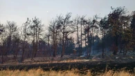 Mueren 15 bomberos en Turquía al quedar atrapados por un incendio forestal en Anatolia