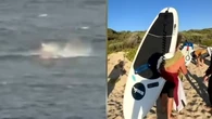 Una cámara graba el momento exacto en que un tiburón blanco muerde la tabla de un surfista en Australia