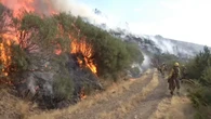 El incendio de Jarilla arrasa 15.000 hectáreas y alcanza Salamanca
