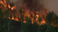 Portugal en llamas: Un bombero fallecido, otro en estado crítico y 64.000 hectáreas arrasadas en 48 horas