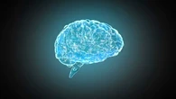 Congelan el cerebro de un cerdo sin dañar sus células: un primer paso para hacerlo en humanos