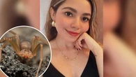 Muere por la picadura de una araña violinista: el veneno la mató en tan solo una hora y media