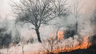 Un estudio analiza el impacto de los incendios forestales sobre los suelos del planeta