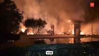 Madrid facilitará la retirada de las arizónicas en los jardines por su alto riesgo de incendio