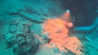 El mayor tesoro de oro procedente de un naufragio bizantino hallado en el Mediterráneo