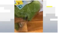 Un matrimonio australiano descubre una rana viva dentro de su bolsa de ensalada