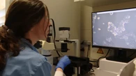 Del veneno a la cura: un investigador gallego descubre antibióticos en toxinas animales gracias a la IA