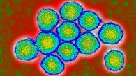 España está a un paso de ser el primer país en eliminar la hepatitis C