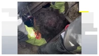 Las angustiosas imágenes del rescate del niño de tres años que cayó a un pozo de apenas 35 centímetros en Toledo