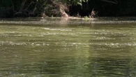 El niño rescatado en la presa de Palencia apareció agarrado a un tronco junto al cadáver de su madre