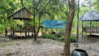 Encuentran entre perros a un niño abandonado por su familia que solo es capaz de comunicarse a través de ladridos
