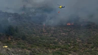 Los montes de Tenerife vigilados por tierra y por aire para prevenir incendios forestales