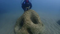 Así ayuda la ciencia y la biotecnología a restaurar la biodiversidad del Port Olímpic