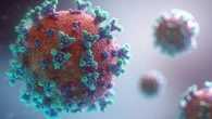 Más mortal, sin vacuna ni tratamiento: parecidos y diferencias entre el hantavirus y el COVID-19
