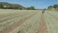La inflación amenaza la cesta de la compra: agricultores y ganaderos pagan 41 millones más a la semana por producir