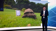 El animal terrestre más longevo del mundo es una tortuga gigante de 194 años que vive en las Scheilles