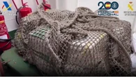 Interceptan un velero de lujo con 500 kilos de cocaína al sur de Canarias