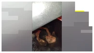 Los equipos de rescate siguen buscando vida bajo los escombros en Venezuela