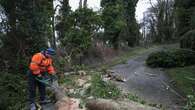 Muere un hombre después de que un árbol aplastase su coche como consecuencia de tormenta Eowyn