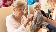 Una terapia pionera con aves rapaces impacta positivamente en el ánimo de los enfermos de alzhéimer