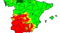 Rinitis, asma y somnolencia, los síntomas de la alergia al polen que ya afecta a 1 de cada 3 españoles